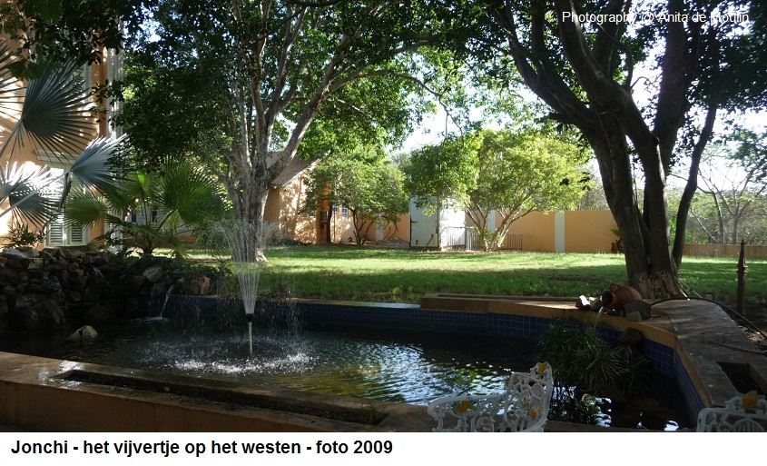 23.  Jonchi vijvertje op het westen 2009